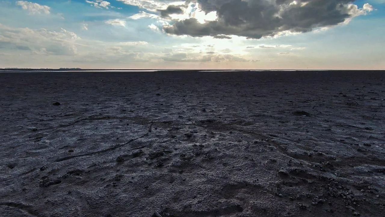 Невпізнавані пейзажі: ось яке зараз Каховське водосховище - фото 560726