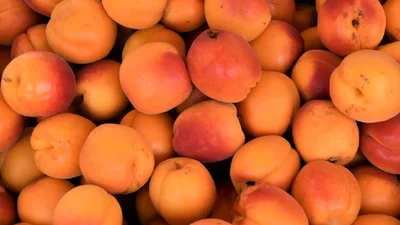 Невероятная польза абрикосов для твоей кожи