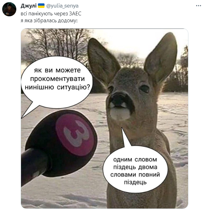 Боїмося, але сміємося: українці жартують про ядерну загрозу на Запорізькій АЕС - фото 561425