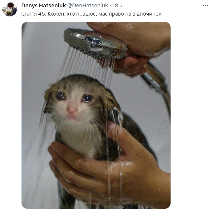 Користувач Twitter зробив меми на статті Конституції України, і це смішно до болю - 561958 Користувач Twitter зробив меми на статті Конституції України, і це смішно до болю - фото 561958
