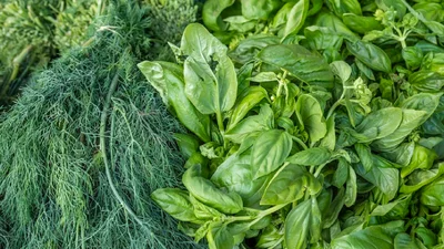 Як зберегти зелень в холодильнику свіжою надовго: це геніально просто