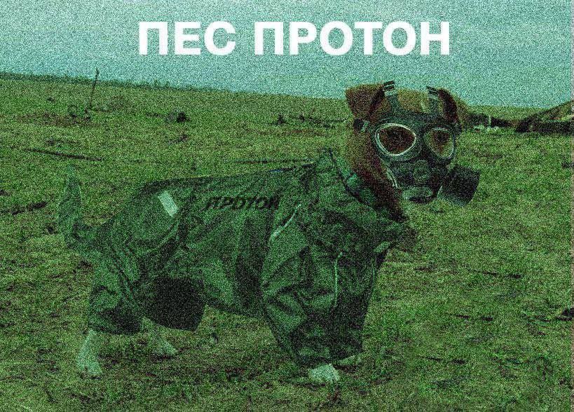 После последних новостей украинцы снова делают мемы о ядерном ударе - фото 562753