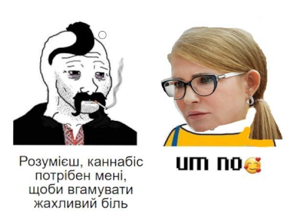 Юлія Тимошенко проти марихуани: смішні меми про медичний канабіс в Україні - фото 564087