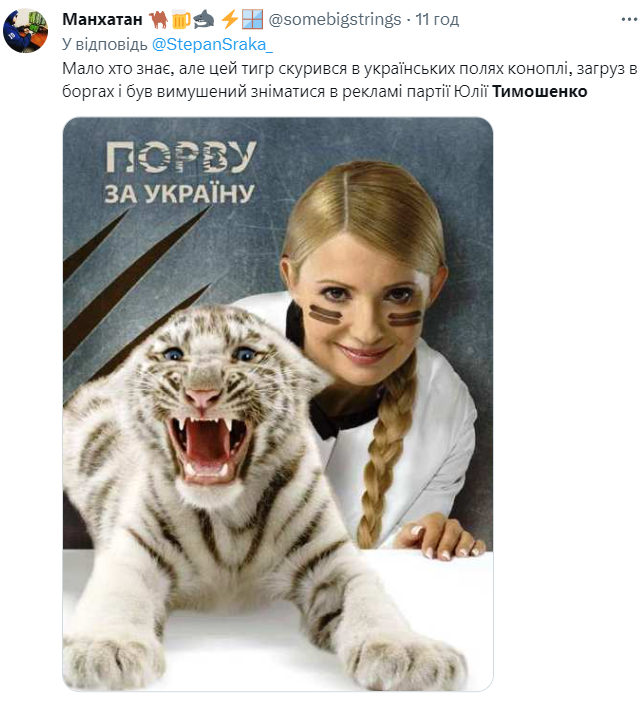 Юлія Тимошенко проти марихуани: смішні меми про медичний канабіс в Україні - фото 564105