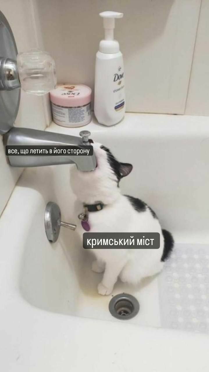 Мемы о новом ударе по Крымскому мосту, от которых становится тепло на душе - 564359 Мемы о новом ударе по Крымскому мосту, от которых становится тепло на душе - фото 564359