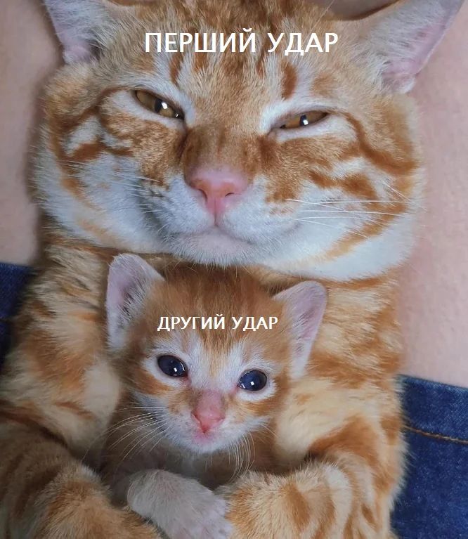 Мемы о новом ударе по Крымскому мосту, от которых становится тепло на душе - 564365 Мемы о новом ударе по Крымскому мосту, от которых становится тепло на душе - фото 564365