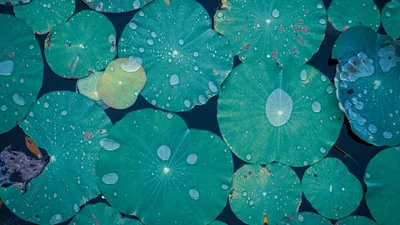 Життя цих трьох знаків Зодіаку змінить Молодик у липні 2023 року