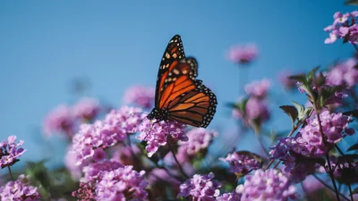 Особистісний тест: дізнайся, як ти справляєшся з образою