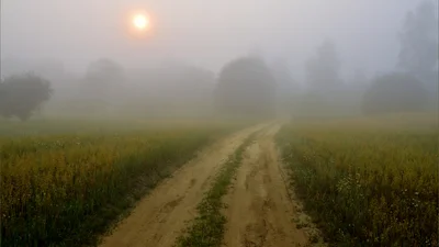 Забобони та заборони: 8 серпня — яке свято та що не можна робити в цей день