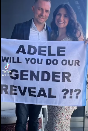 Адель помітила табличку в залі під час свого шоу Weekends With Adele в Колізеї та погодилася оголосити стать майбутньої дитини своїх шанувальників. - фото 569238