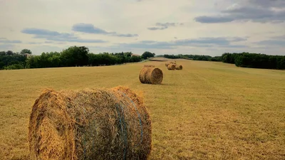 Забобони та заборони: 16 серпня – що не можна робити в цей день