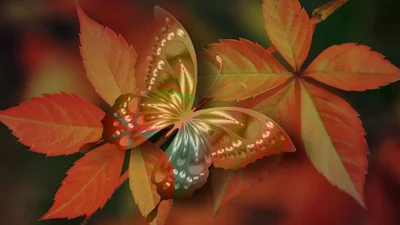 Тест на особистість розповість, чим ти керуєшся у житті: інтуїцією чи логікою