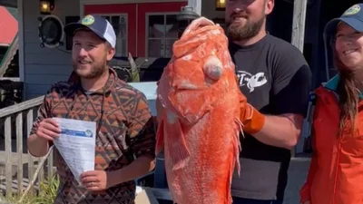 У водах Аляски спіймали 20-кілограмового окуня: ти не повіриш очам