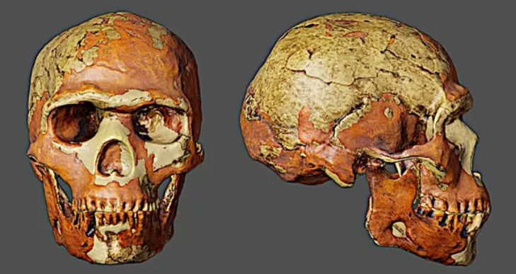 'Самый старый': ученые сделали 3D-фото лица мужчины, который жил 90 тысяч лет назад - фото 569878
