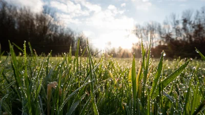 Забобони та заборони: 23 серпня — що не можна робити