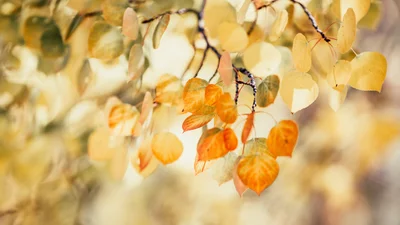 День ангела в сентябре: календарь именин