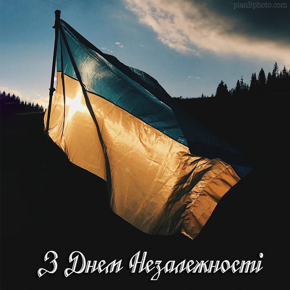 Привітання до Дня Незалежності України - фото 570039