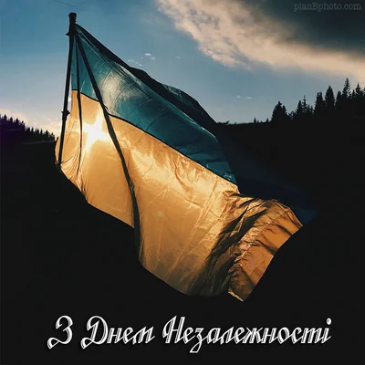 Привітання до Дня Незалежності України - фото 570039