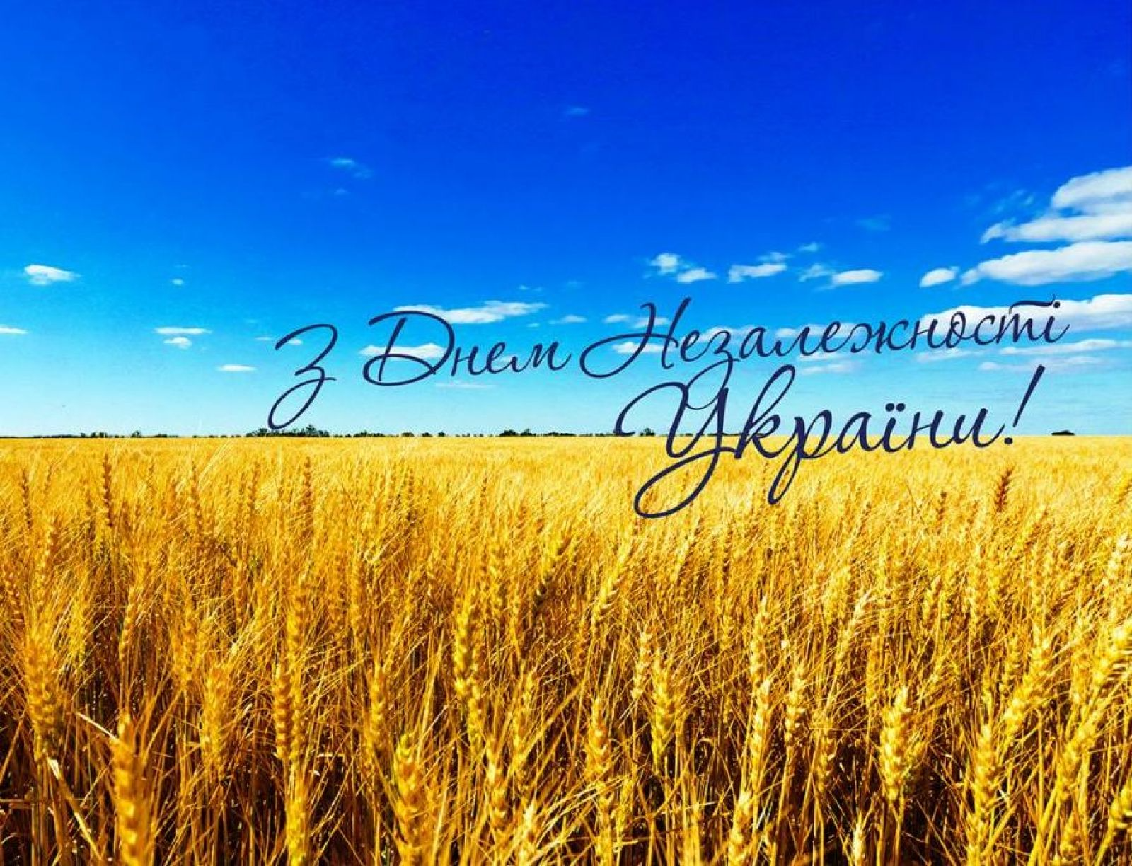 Картинки з Днем Незалежності України 2023 - фото 570041