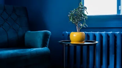 Эти цвета нельзя использовать для окрашивания стен