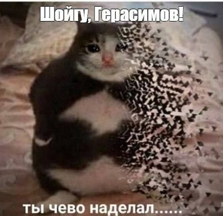 Мемы о ликвидации Евгения Пригожина, которые поднимут настроение - фото 570818