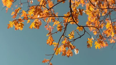 Забобони та заборони: 26 серпня — що не можна робити