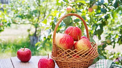 Ось відповідь, кому не можна їсти яблука