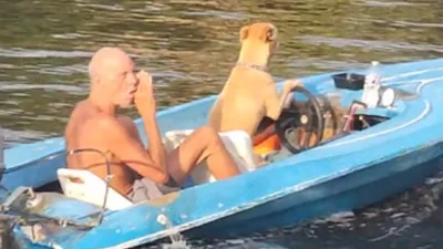 Собака сиділа за кермом човна, поки власник пив пиво: кумедне відео