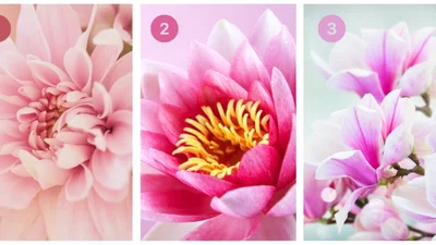 Тест: те, що ти побачиш першим, розкриє методична ти чи імпульсивна