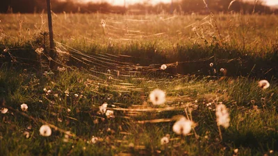 Що не можна робити 1 вересня: забобони, які привернуть удачу