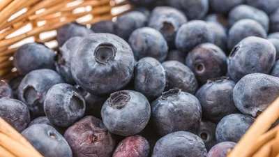 Что будет с организмом, если каждый день есть голубику