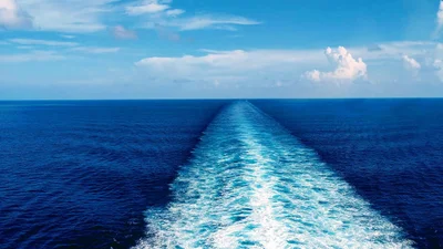 Мужчина хотел пересечь Атлантику в самодельном "колесе для хомяка"