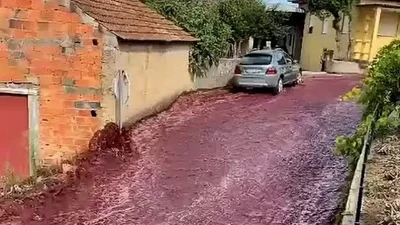 Река из вина затопила улицы португальского города, и это нужно видеть