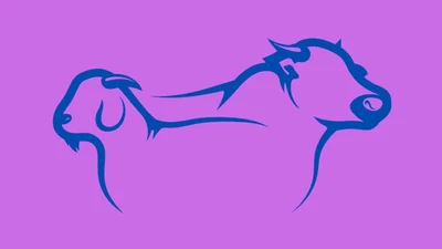 Тест: ти обережна чи смілива у своїх рішеннях?