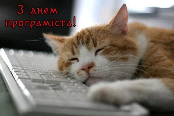С Днем программиста: поздравления в картинках с профессиональным праздником - фото 574046