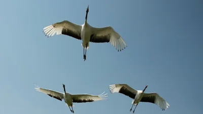 Що не можна робити 13 вересня: цікаві забобони та заборони