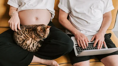 Секс два рази за ніч може збільшити шанси завагітніти