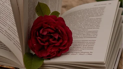 Украинские книги об интимных отношениях, которые удивят тебя