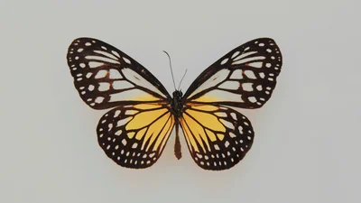 Тест: як ти поводишся в соцмережах — ти інтроверт, амбіверт чи екстраверт?