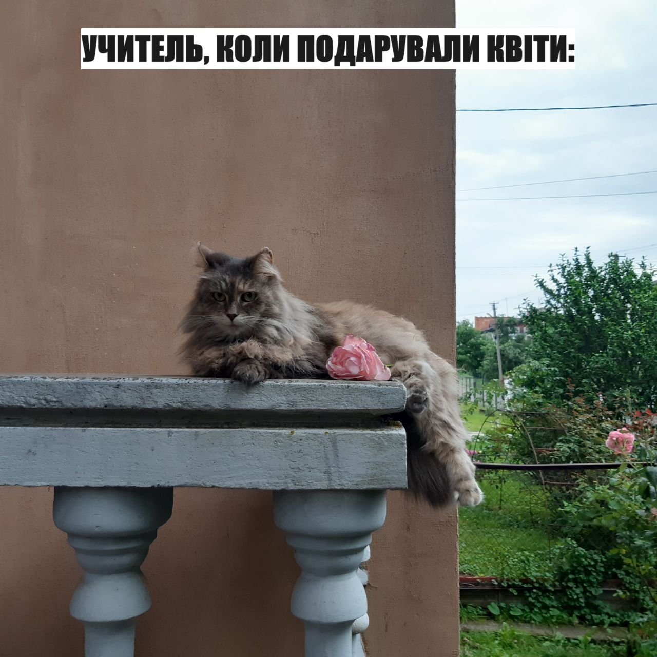 Меми про вчителів та школу, в яких ти точно впізнаєш себе - 576385 Меми про вчителів та школу, в яких ти точно впізнаєш себе - фото 576385