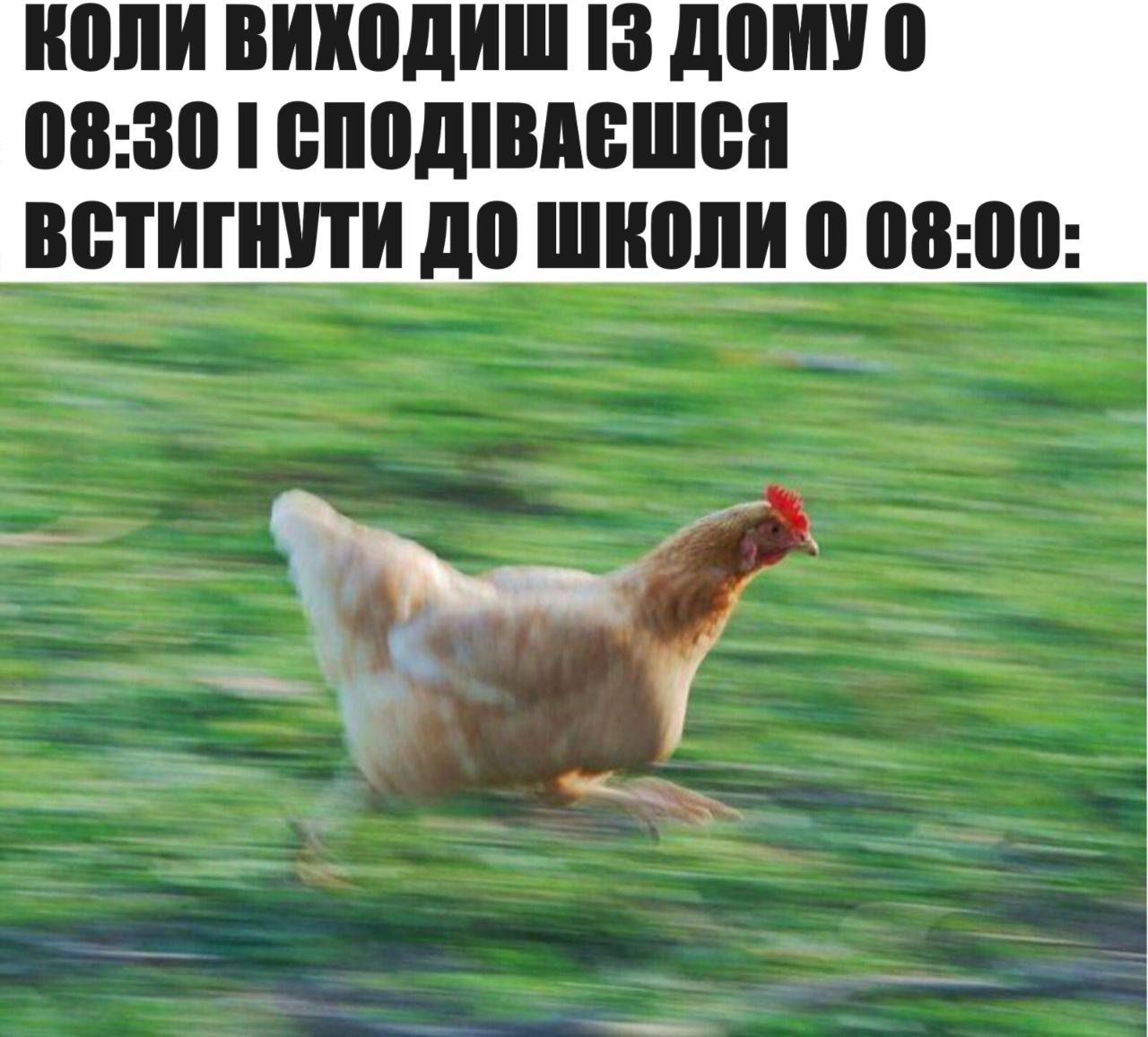 Меми про вчителів та школу, в яких ти точно впізнаєш себе - 576388 Меми про вчителів та школу, в яких ти точно впізнаєш себе - фото 576388