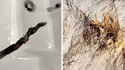 Жінка ледь не спалила будинок через зарядку для iPhone: як не повторити помилку