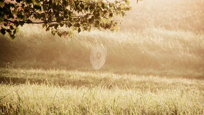 Друге бабине літо: синоптики потішили, що в Україну повернеться тепло