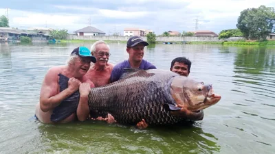 Рыбаки вытащили карпа, весом в 114 килограммов: в реальность фото трудно поверить