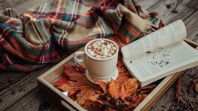 Красиві цитати про осінь і любов, які створять тобі романтичний настрій