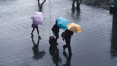 Чому під час дощу нас хилить у сон