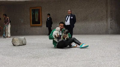 В Мехико открылась выставка современного искусства для собак