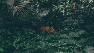 Чому насправді вимерли динозаври