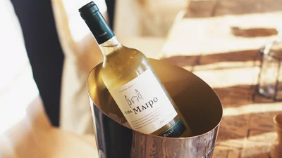 Зачем охлаждать вино и как это правильно делать