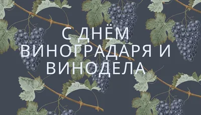 Картинки с Днем виноградаря и винодела Украины - фото 582621